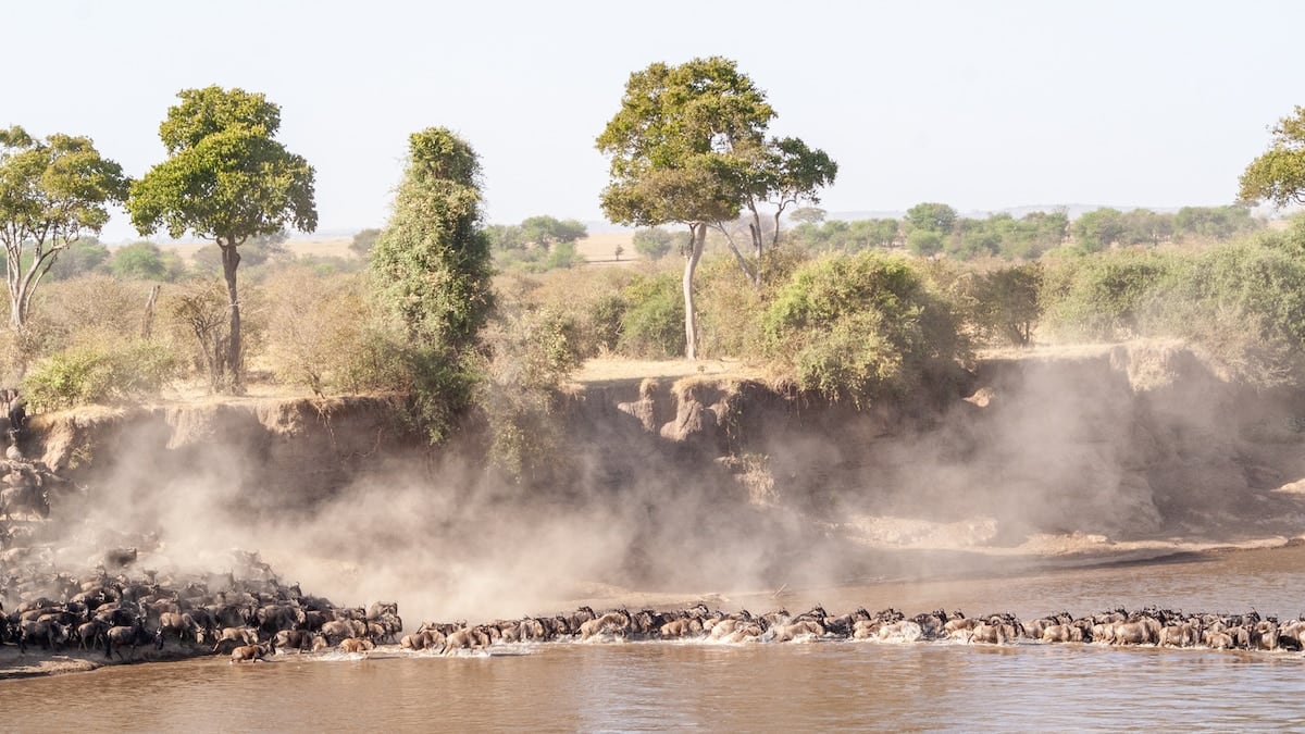 Tanzania a bordo de una Ranger: tres parques, dos comunidades y un cráter que parece un mundo aparte