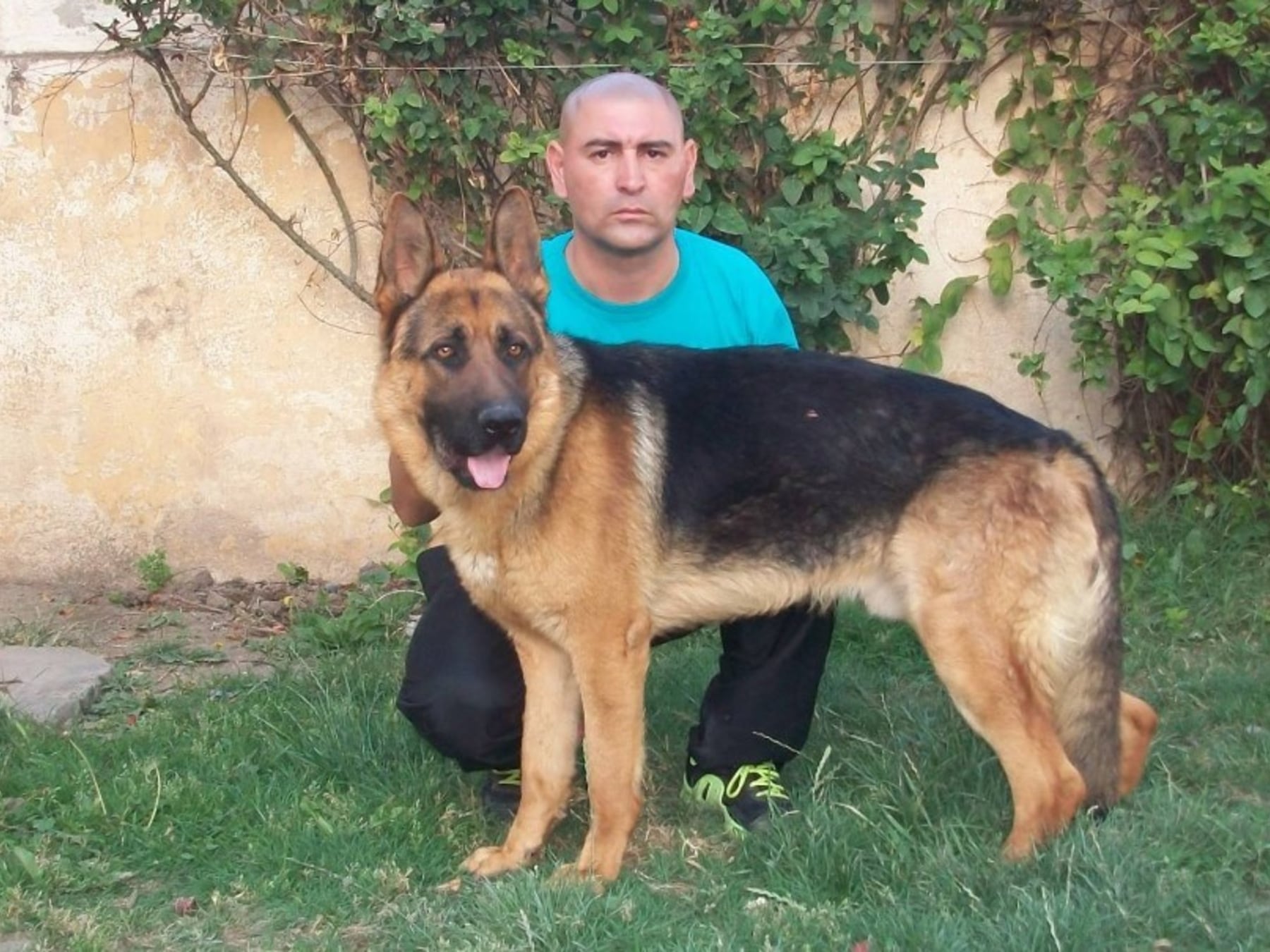 A juicio en 2027 el adiestrador que trabajó en el caso Araceli Fulles por la sospecha de pruebas armadas con sus perros