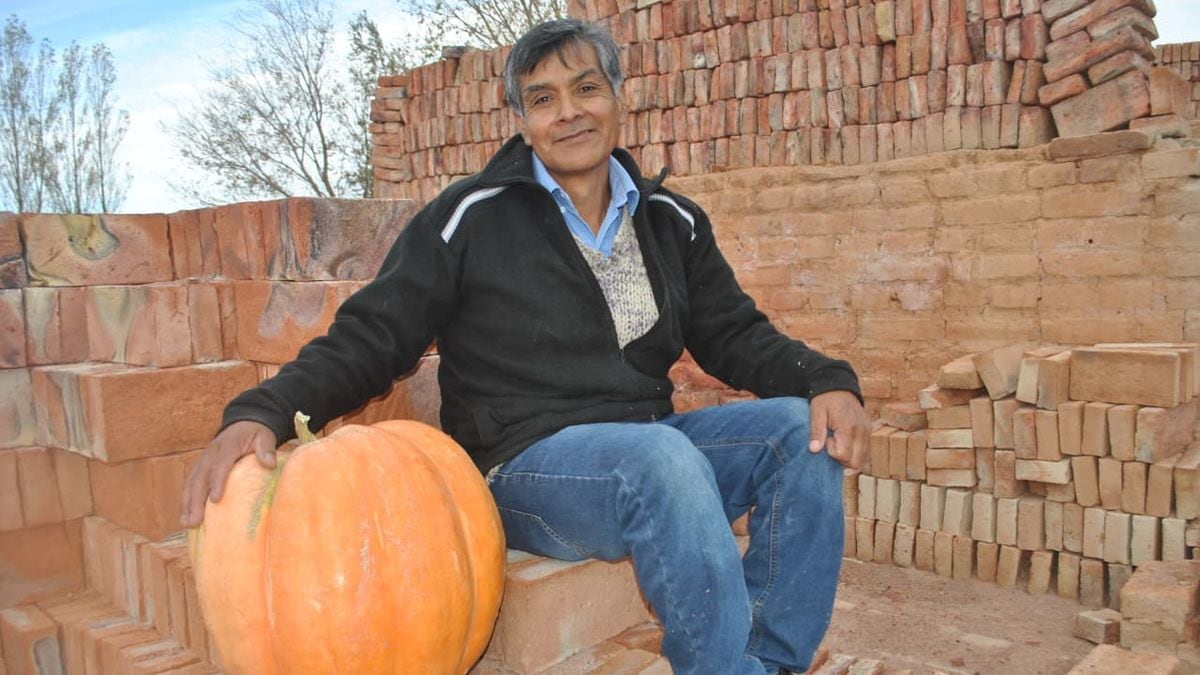 Mariano Moreno vuelve a abrir las puertas del concurso Ciudad Zapallo y regala semillas para armar la huerta en casa