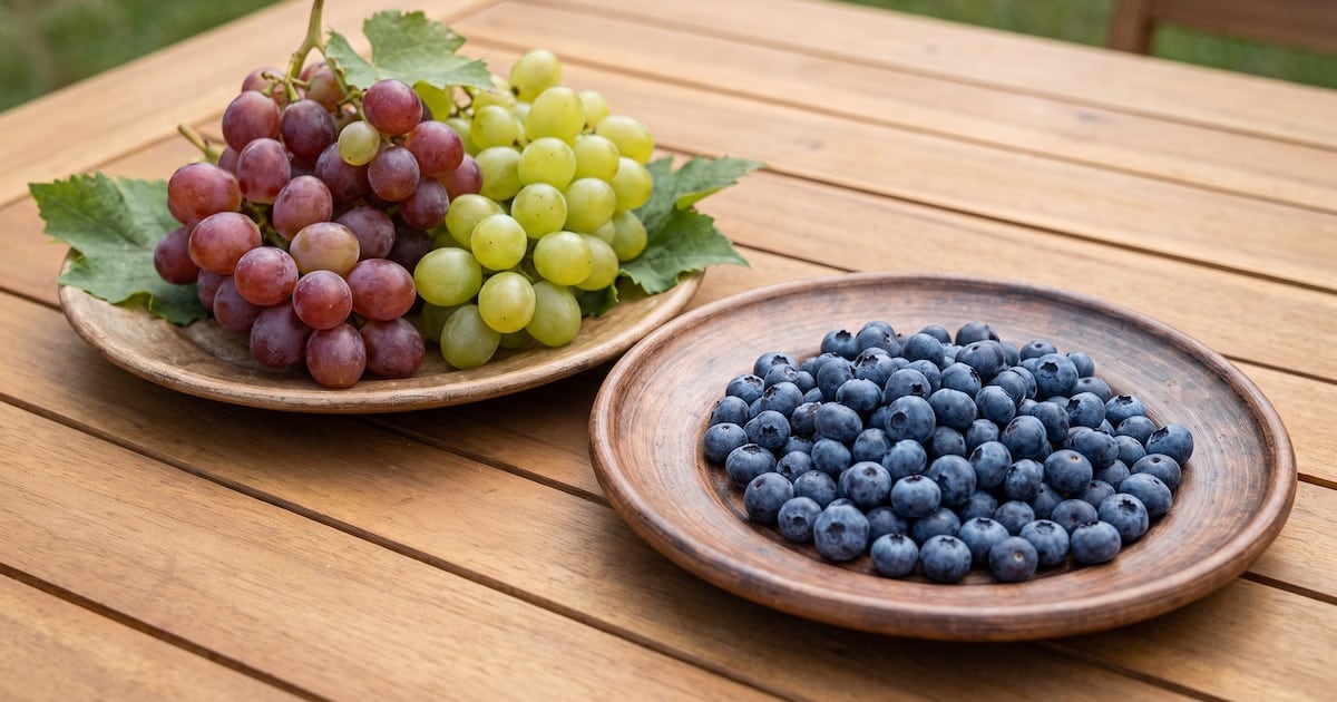 Arándanos o uvas: la fibra manda cuando se sienta el azúcar en la sangre