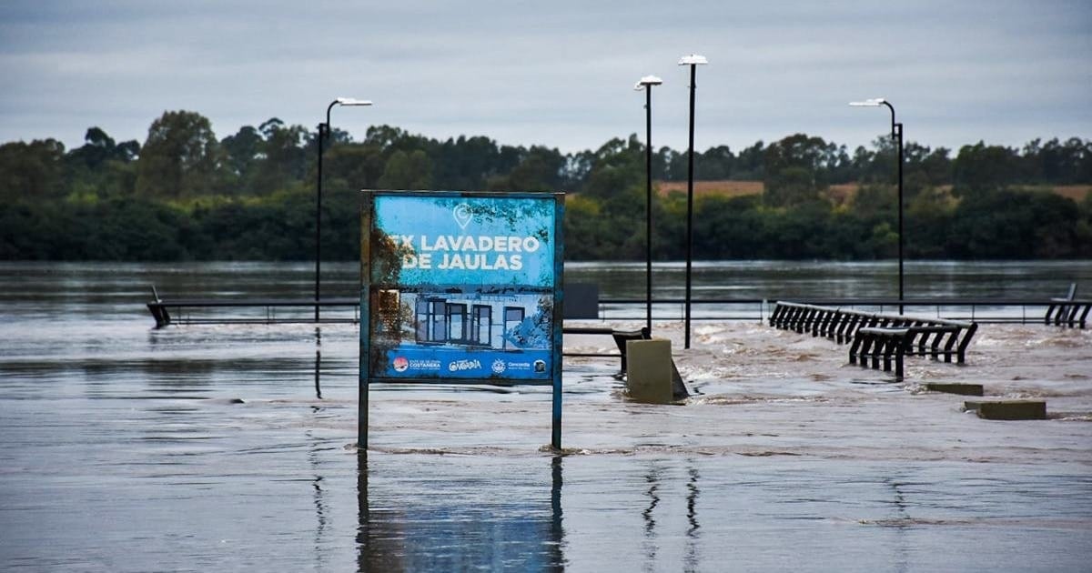 El Niño empuja al ganado, alienta al campo y complica las Fiestas: el mapa de lo que se viene