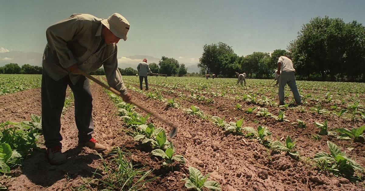 El campo sostiene por un año más el piso de asignaciones para los trabajadores temporarios y de cosecha