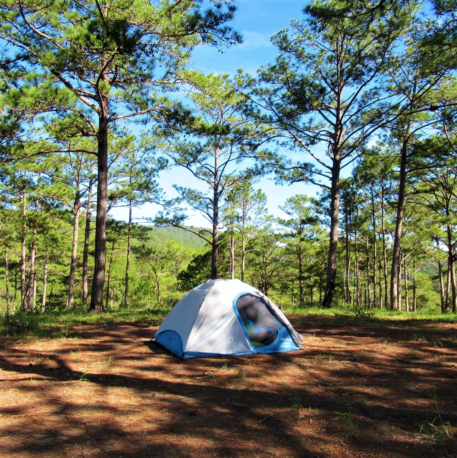 Huttopia desembarca en Mar Azul: 55 hectáreas de bosque para acampar a la francesa en la costa atlántica