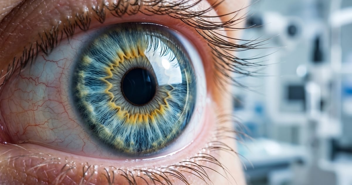Una proteína corneal para quemaduras químicas: resultados prometedores en ratas